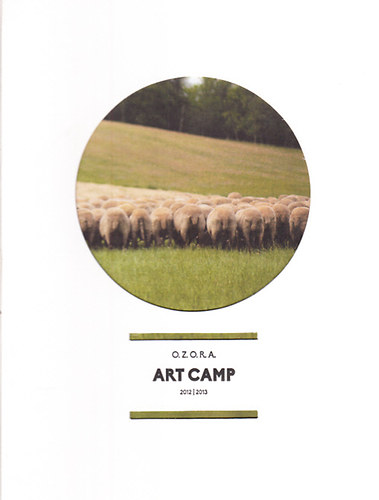 Art camp 2012/2013