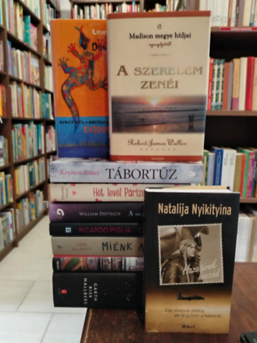 Garth Hallberg, Samantha Vérant, John Grisham, Robert James Waller, Krysten Ritter, Natalija Nyikityina, William Dietrich, Luke Allnutt, Samantha Verant, Ricardo Piglia - KÖNYVMENTŐ AJÁNLAT, 10 db. világirodalom, Hazatérek hozzád +Don Emmanuel háborúja +A szerelem zenéi +Tábortűz +Hét levél Párizsból +A smaragdvihar+ Éjjeli vadászat+ Miénk az ég+ Calico Joe+ Ég a város
