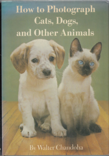 Walter Chandoha - How to photograph cats, dogs and other animals