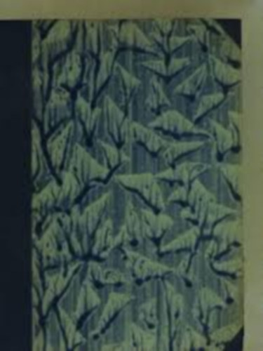 Radó Antal (szerk.) - Költők albuma