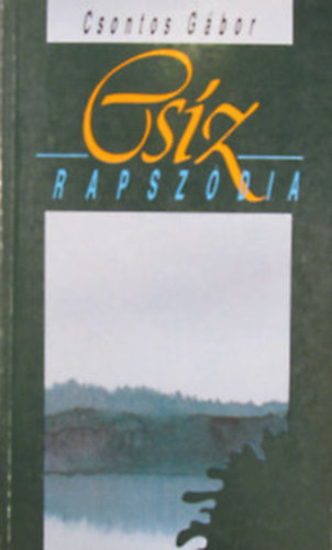 Csontos G�bor - Cs�zrapsz�dia
