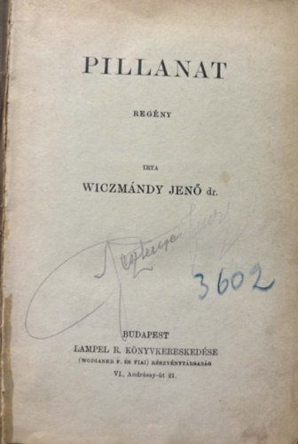 Wiczmándy Jenő dr. - Pillanat