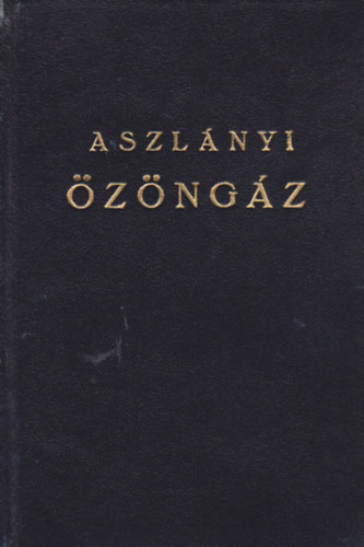 Aszlnyi Kroly (Kirk van Hossum) - zngz