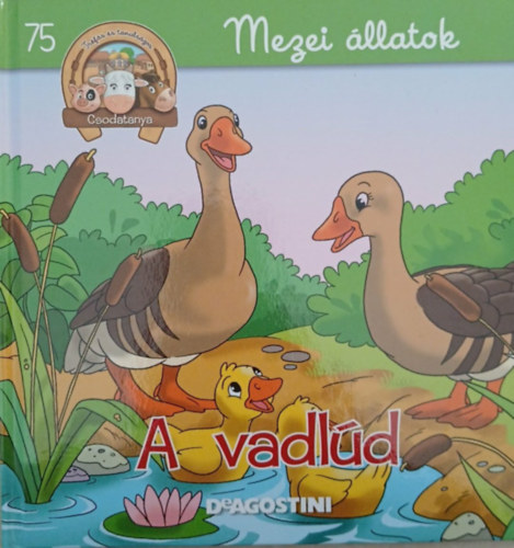 A vadlúd (Csodatanya 75. - Mezei állatok)