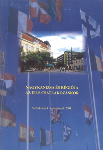 Nagykanizsa és régiója az EU-s csatlakozáskor (Vállalkozlások, intézmények 2004)