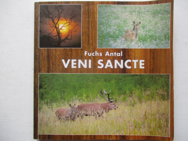Fuchs Antal - Veni Sancte