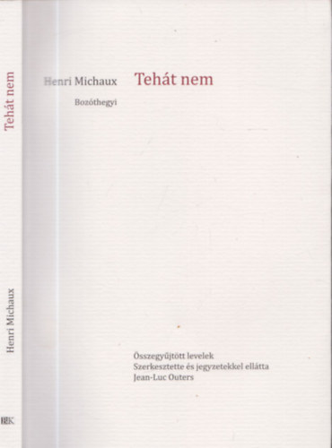Henri Michaux, Jean-Luc Outers - Teht nem - sszegyjttt levelek