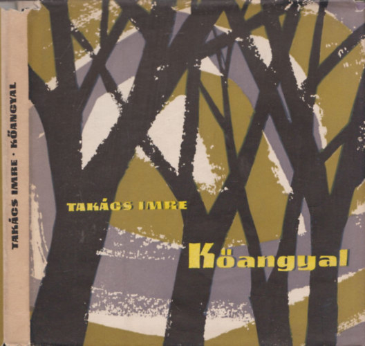 Takács Imre - Kőangyal