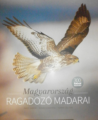 Papp Gábor - Kovács András - Turny Zoltán - Magyarország ragadozó madarai