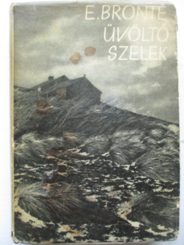 Emily Brontë - Üvöltő szelek