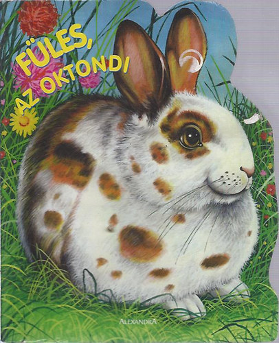 Jan Kazimierz Siwek - Füles, az oktondi