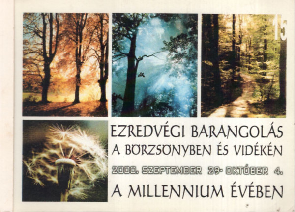 Simon Mria (szerk) - Ezredvgi barangols a Brzsnyben s vidkn 2000. szeptember 29-oktber 4.- A millennium vben