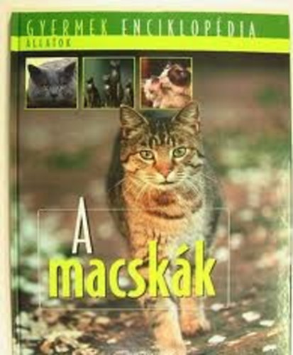 A macskk (Gyermek enciklopdia)