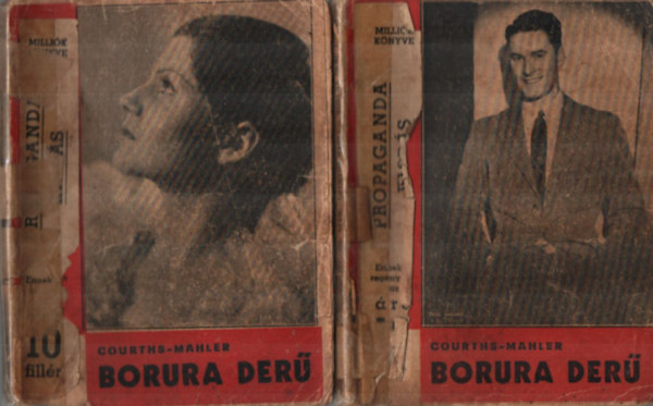 Hedvig Courths-Mahler - Borúra derű