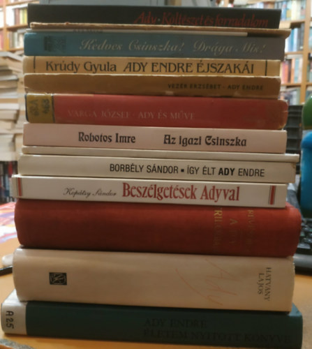 Ady Endre, Boncza Berta (Csinszka), Krdy Gyula, Vezr Erzsbet, Varga Jzsef, Robotos Imre, Lukcs Gyrgy, Rvsz Bla, Koptsy Sndor, Borbly Sndor, Hatvany Lajos, Losonci Mikls - 14 Ady Endre: letem nyitott knyve; Ady (Cikkek, elemzsek, levelek); Ady trilogija; gy lt Ady Endre; Beszlgetsek Adyval; Ady Emlkmzeum; Kltszet s forradalom
