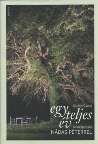 K�rolyi Csaba - Egy teljes �v