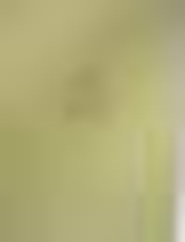 Erd�s Ren�e - Santerra b�boros