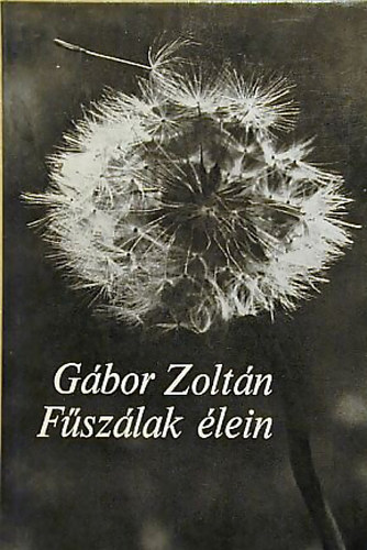 G�bor Zolt�n - F�sz�lak �lein
