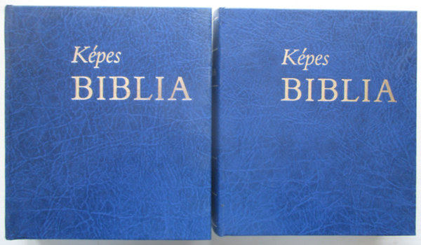 Zsdely Gyula (szerk.) - Kpes Biblia I-II. ktet
