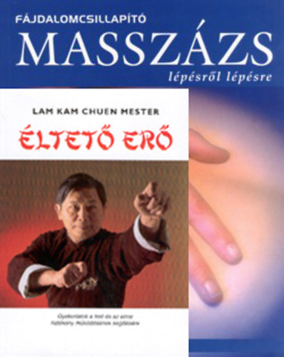 Shen, Peijian; Lam Kam Chuen mester - ltet er - Fjdalomcsillapt masszzs