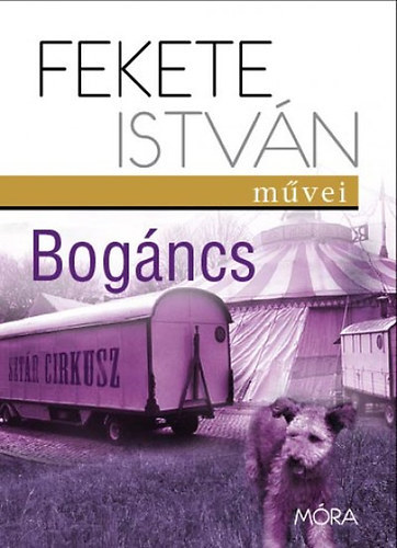 Fekete Istvn - Bogncs (Fekete Istvn Mvei)