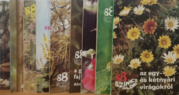 88 sznes oldal knyvcsomag