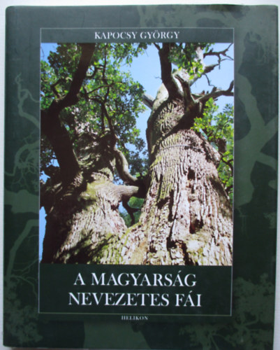 Kapocsy Gyrgy - A magyarsg nevezetes fi