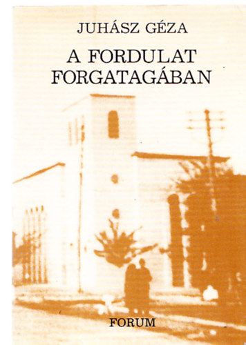 Juhász Géza - A fordulat Forgatagában - ifjúsági vezető koromból