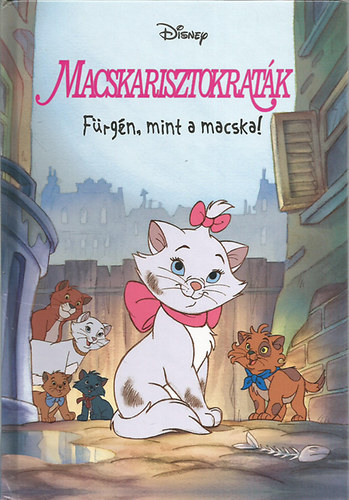 Macskarisztokratk - Frgn, mint a macska!