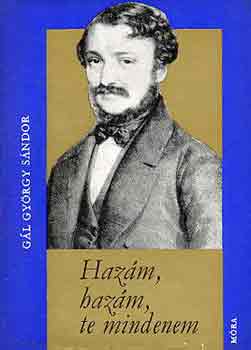 Gl Gyrgy Sndor - Hazm, hazm, te mindenem