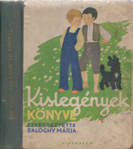 Baloghy Mria (szerk), Benedek Kata (rajz) - Kislegnyek knyve (Benedek Kata 4 sznes kpvel s 283 rajzval)