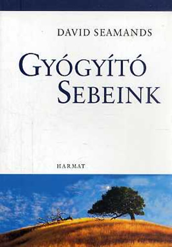 David Seamands - Gyógyító sebeink