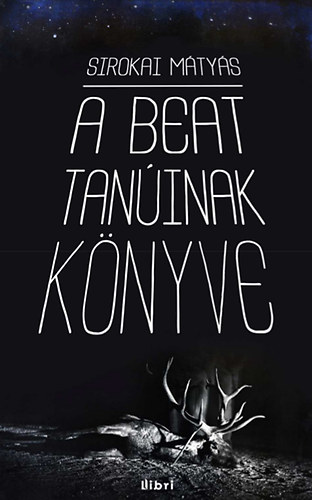 Sirokai Mátyás - A beat tanúinak könyve