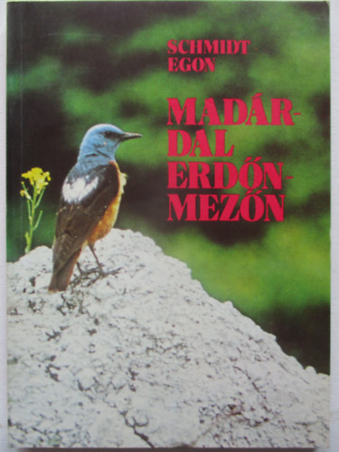 Schmidt Egon - Mad�rdal erd�n-mez�n
