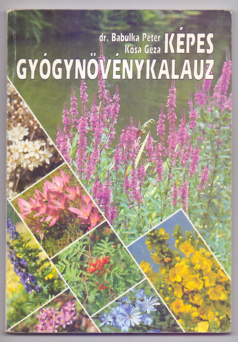 Dr. Babulka Pter-Ksa Gza - Kpes gygynvnykalauz (Sznes fotkkal)
