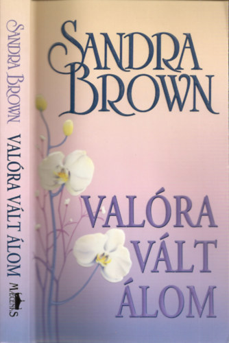 Sandra Brown, Fordította: Komáromy Zsófia - Valóra vált álom (Mason testvérek 1.) - Fanta C