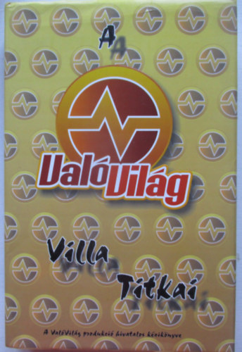 Fejes Gábor - A Való Világ villa titkai
