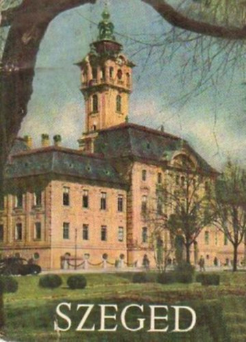Magyar L.-Nmeth I. (szerk.) - Szeged