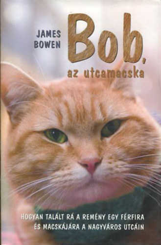 James Bowen - Bob, az utcamacska - Hogyan talált rá a remény egy férfira és macskájára a nagyváros utcáin