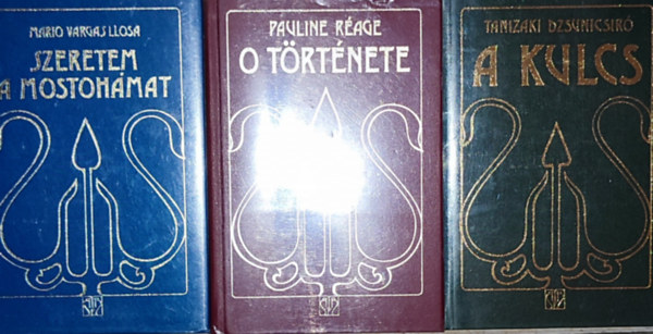 Pauline Rage, Mario Vargas LLosa, Tanizaki Dzsunicsir - 3db regny - Pauline Rage-O trtnete; Mario Vargas Llosa-Szeretem a mostohmat; Tanizaki Dzsunicsir-A kulcs