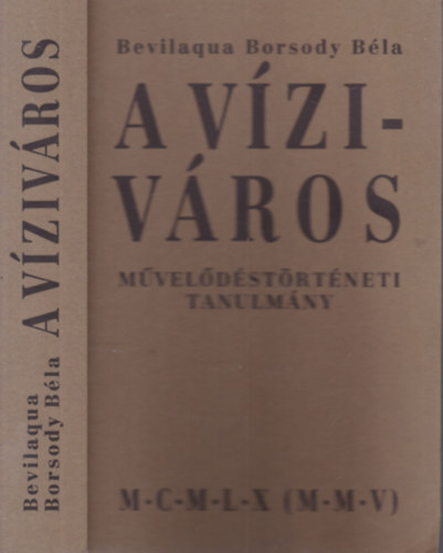 Bevilaqua Borsody Bla - A Vzivros-Mveldstrtneti tanulmny