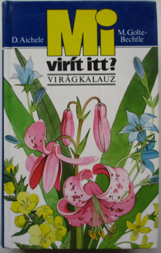 Bechtle, M.golte, Aichele, Dietmar - Mi virt itt? (virgkalauz)