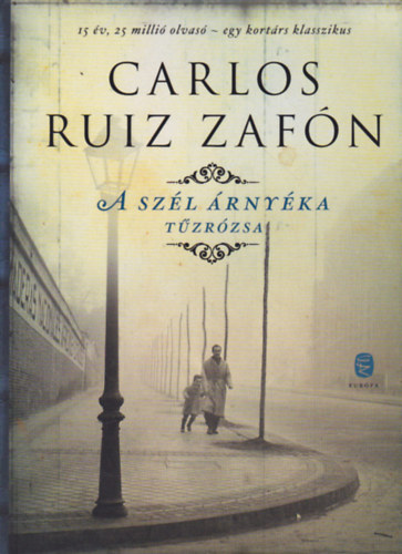 Carlos Ruiz Zaf�n - A sz�l �rny�ka - T�zr�zsa