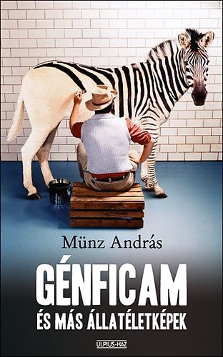 Mnz Andrs - Gnficam