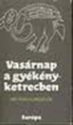 Eur�pa K�nyvkiad� - Vas�rnap a gy�k�nyketrecben (mai perui elbesz�l�k)