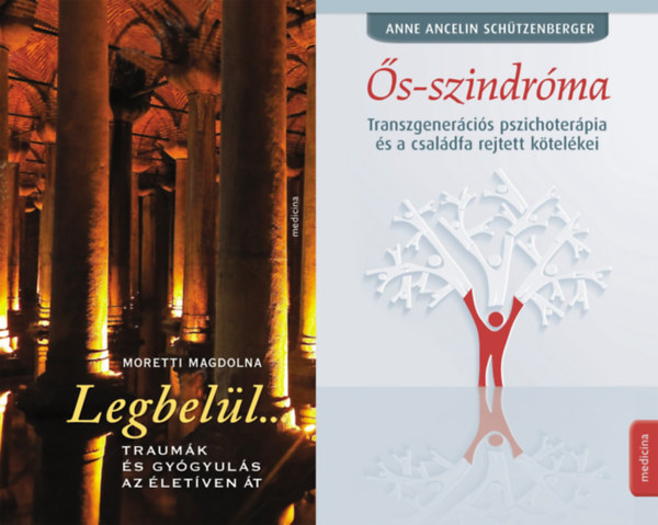 Anne Ancelin Sch�tzenberger, Moretti Magdolna - �s-szindr�ma + LEGBEL�L... (Traum�k �s gy�gyul�s az �let�ven �t)