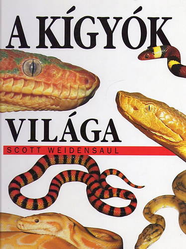 Scott Weidensaul - A kgyk vilga