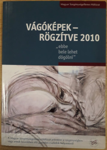 Vgkpek - rgztve 2010 - "ebbe bele lehet dglni"