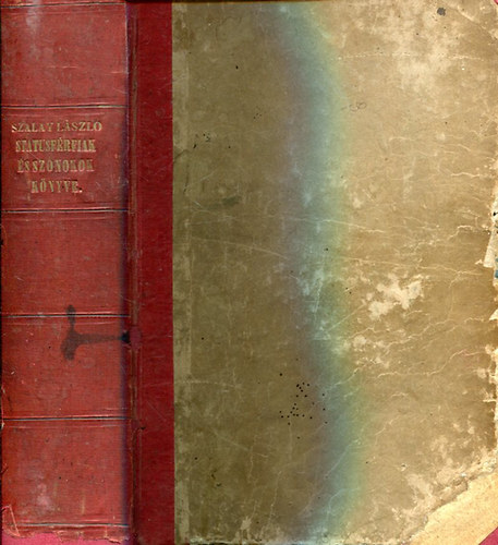 Szalay László - Státusférfiak' és szónokok' könyve