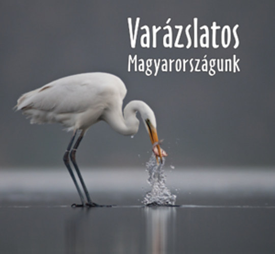 Gal Pter (szerk.) - Varzslatos Magyarorszgunk